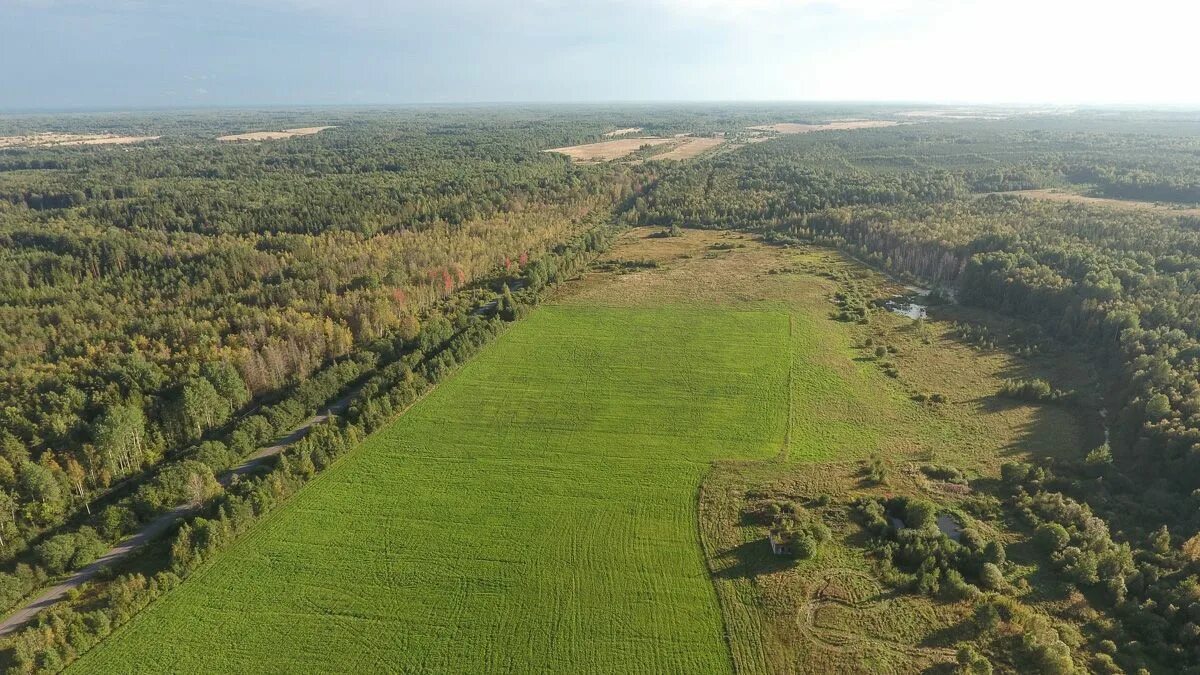 Поля новгородская область. Оскуй Новгородская область деревня. Село Оскуй Чудовский район Новгородская область. Усадьба Любищева Оскуй. Река Оскуя Новгородская область.