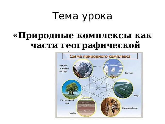 Выберите локальный природный комплекс. Природные комплексы географической оболочки. Схема природного комплекса. Природные комплексы как части географической оболочки. Типы природных комплексов.