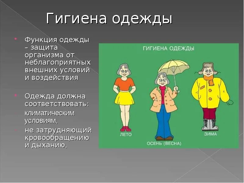 Основные функции одежды защитного слоя. Основные функции одежды защитного слоя