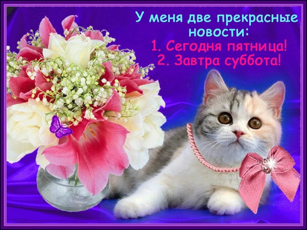 Пролеска крокус галантус. Март 2024 красивый. Крокусы тюльпаны подснежники. Подснежник галантус голубой. Первые весенние цветы.