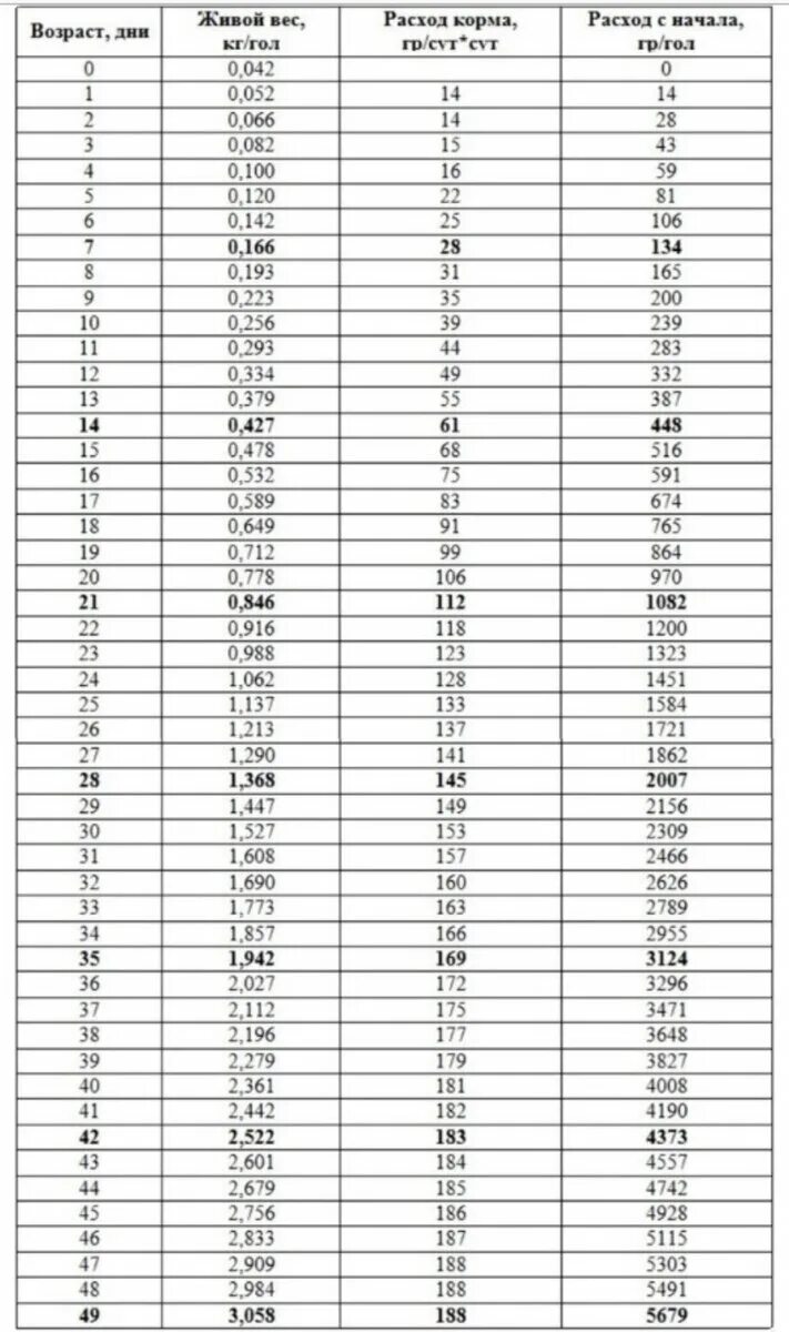 Таблица роста росс 308 по дням. Таблица роста бройлеров Кобб 500 по дням. Бройлерные цыплята Кобб 500 таблица веса. Вес бройлеров по дням таблица АРБОР. Таблица бройлеров по дням Кобб 500.