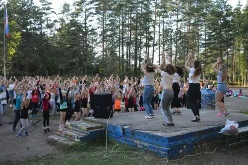 Оплата дол. Гверстянец Великий Новгород лагерь. Лагерь Гверстянец Новгородская область. Детский лагерь Гверстянец Крестецкий район. Гверстянец Великий Новгород 2023.