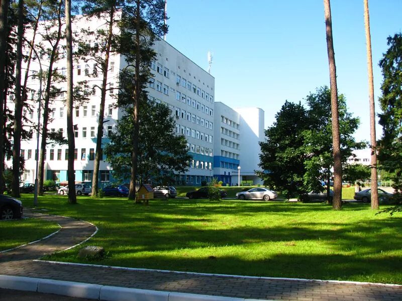 реабилитационный центр минская область. аксаковщина. лагерь красноярское загорье. феникс минская 19/1. санаторий загорье минская область.