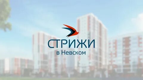 Стрижи 2