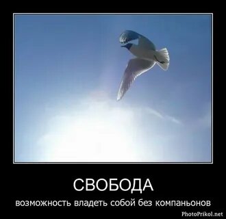 Покажи свободу