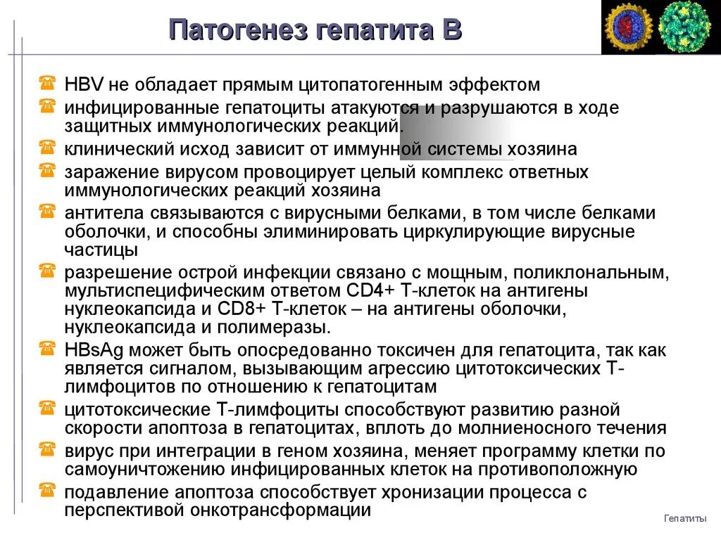 Этиология гепатита. Патогенез гепатита в. Патогенез вирусного гепатита в. Вирус гепатита б патогенез. Гепатит механизм развития.