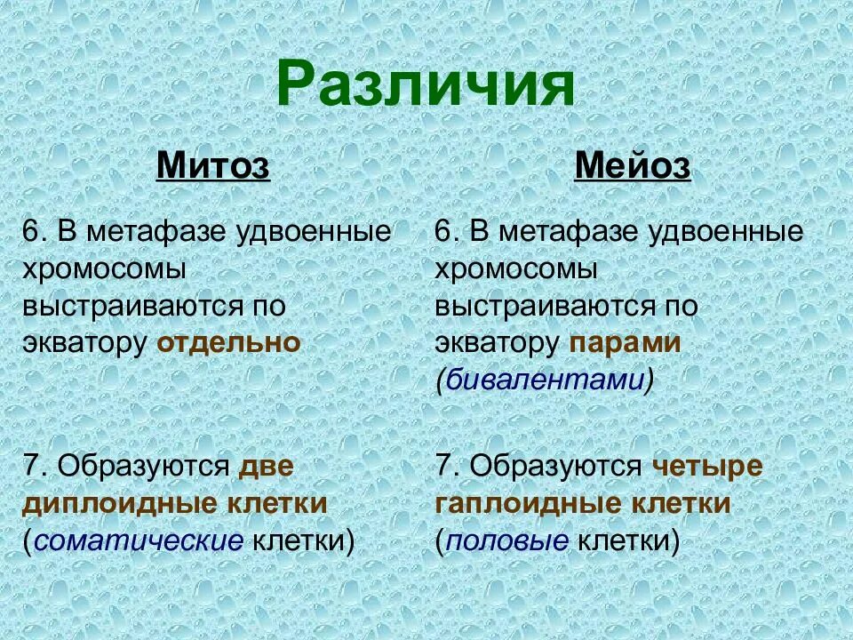 Сходства и отличия митоза и мейоза. Различия митоза и мейоза. Мейоз и митоз отличия. Разница митоза и мейоза. Метафаза митоза и мейоза.