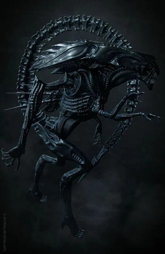 Что такое ксеноморф. Чужой ксеноморф. Что такое ксеноморф. Ксеноморф королева. Что такое ксеноморф.