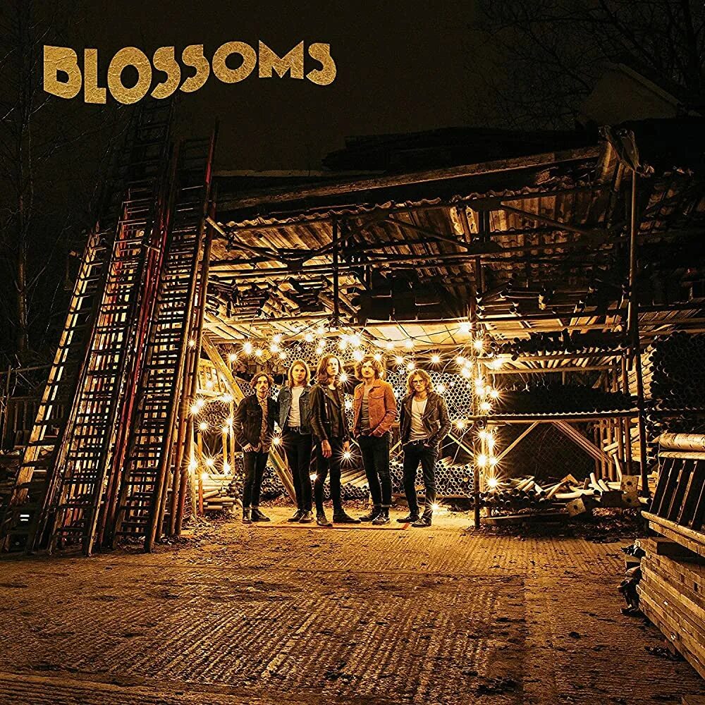 Blossoms слушать. Blossoms foolish loving spaces обложка. Cool like you. Blossoms band logo. Christmastide.