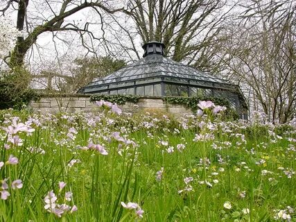 Old garden