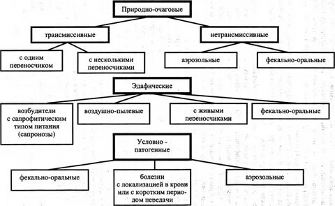Виды природных очагов