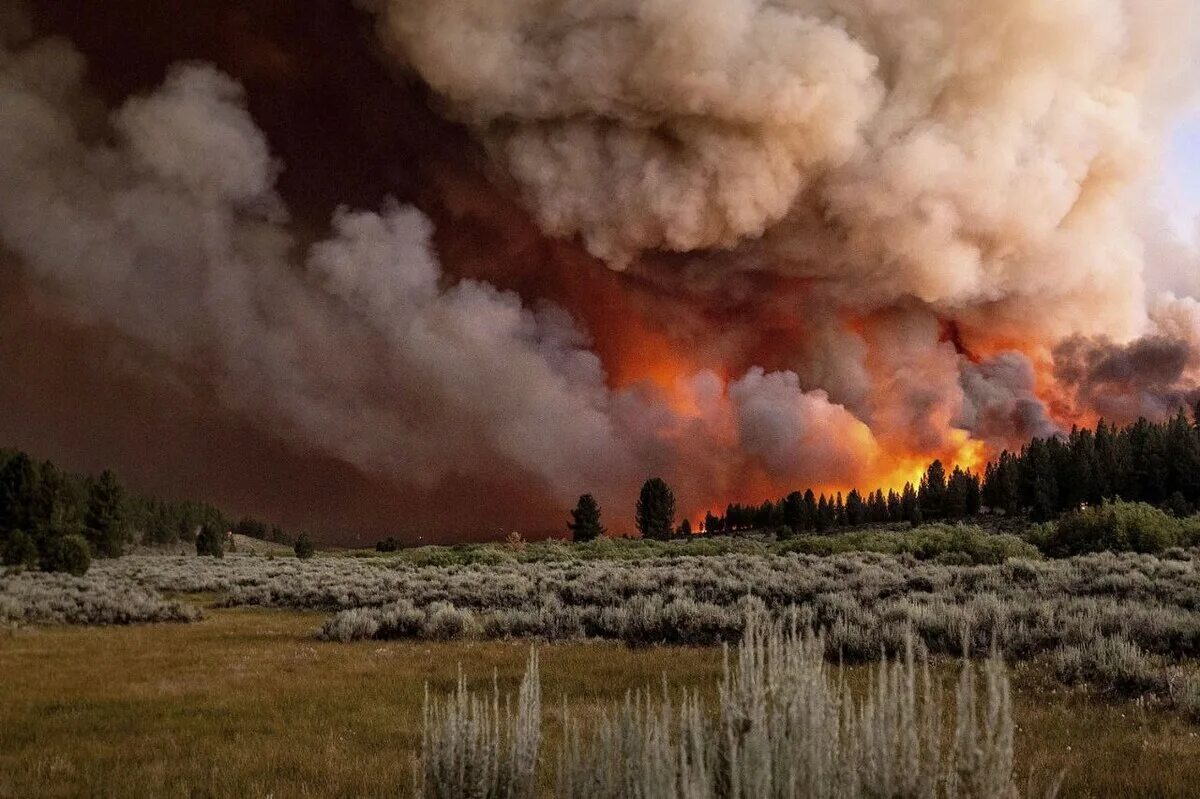 Верховой Лесной пожар. Лесной пожар обои. Лесные пожары в Калифорнии. Пожары из за глобального потепления.