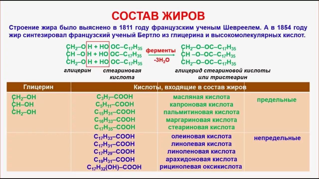 1 группа жиры