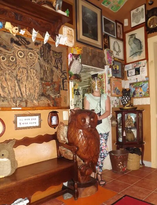 музей эпохи ссср. музей игровых автоматов спб. музей сов в токсово. имидж совы. музей сов спб.