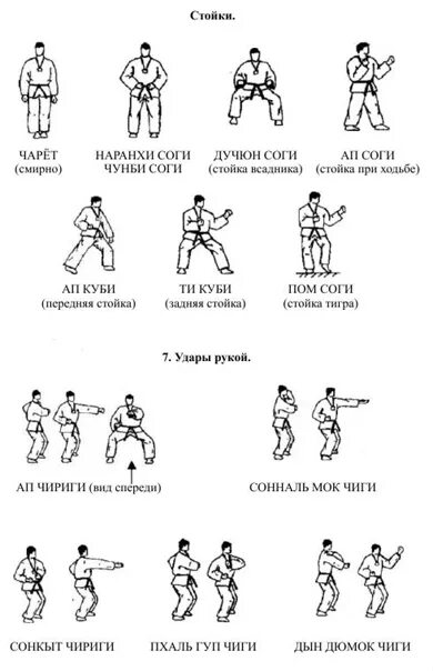 Тхэквондо как бить. Стойки, удары, блоки таэквондо итф. ап соги стойка в тхэквондо. ап куби стойка в тхэквондо. джумби соги стойка в тхэквондо.