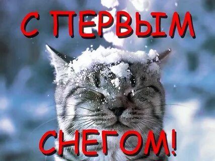 Поздравление с первым снегом прикольные