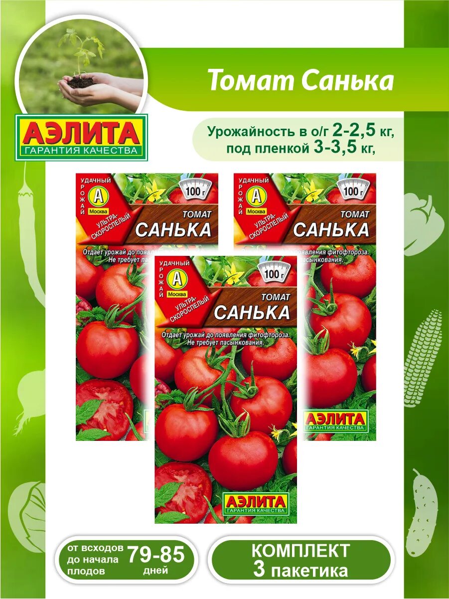 Помидоры санька отзывы фото урожайность. Томат санька 20 шт. семена томат санька.