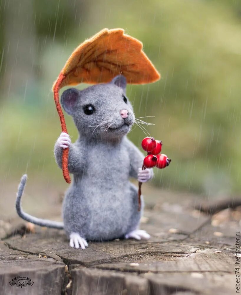 дом мышки. мышонок под одеялом. домовая мышь. полевка мышь полевка зимой. крыска спит.