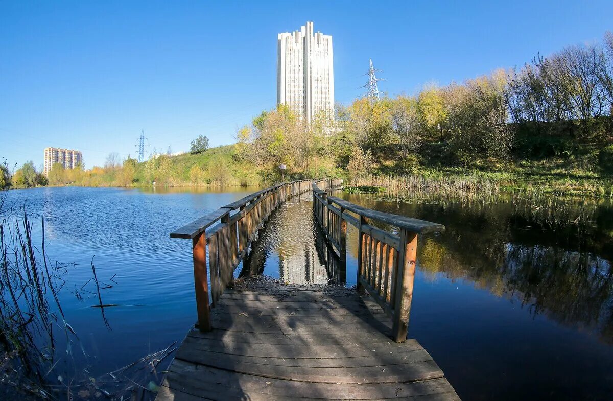 Парк 50 летия октября фото. Парк 50 летия Москва. Проспект Вернадского парк. Парк 50 летия октября Раменки. Парк 50 лет октября на Вернадского.