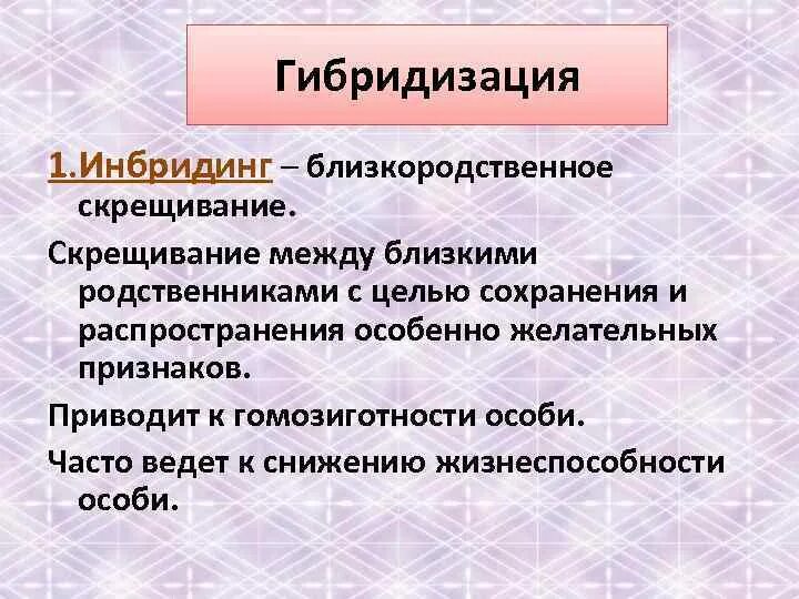 Близкородственное скрещивание получение чистых линий скрещивание