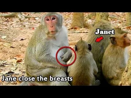 Jane but