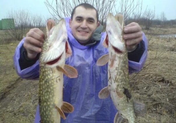 Человек на лодке смешное. Рыба вася. Вася ложкин кот с колбасой. Вася ложкин картины. Рыба вася.