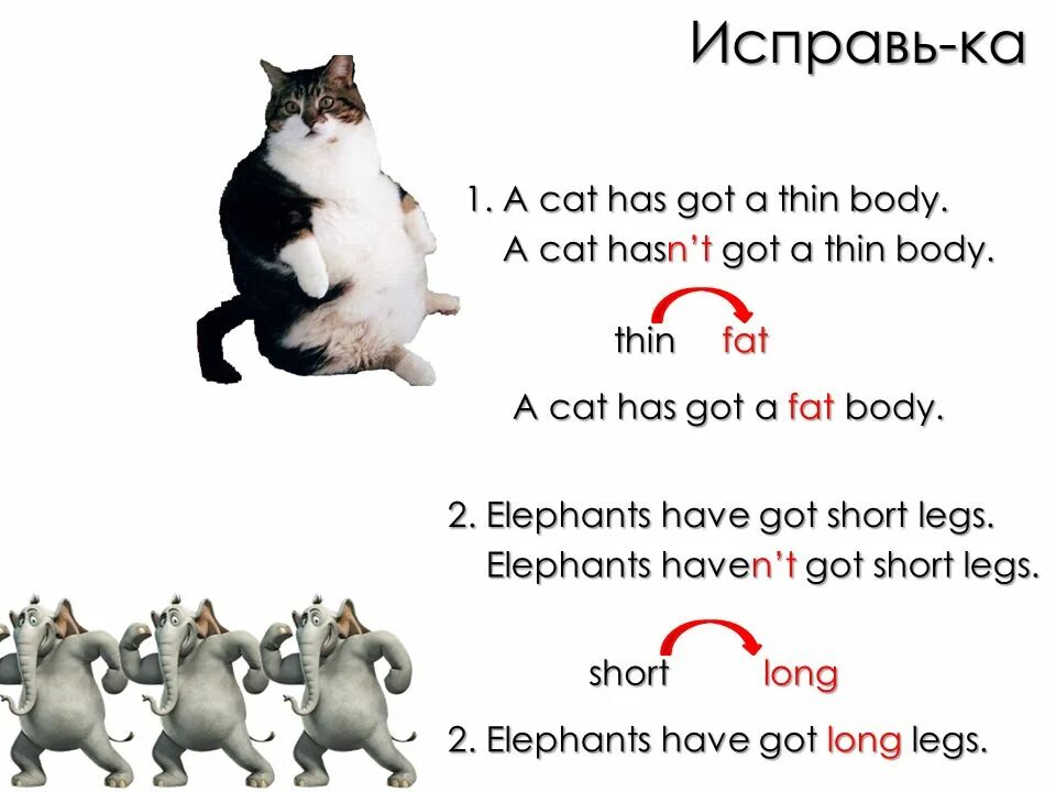 It s my cat. Cows are funny задания к теме. Английский язык Cow are funny. Вопросительные предложения предложения с have got? Has got. Презентация урока Cows are funny.