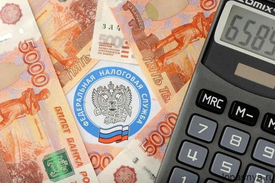 Пени в фнс. Переплата налога. фнс деньги. переплата картинка. недоимка по налогам картинки.