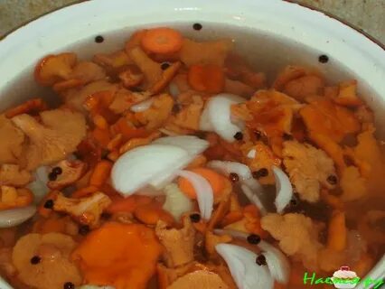 Лисички с луком на зиму