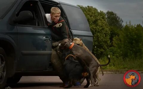 Нападает внезапно