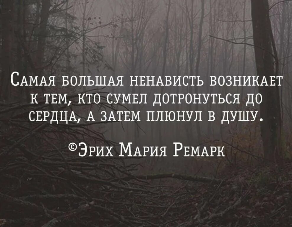 Ненависть афоризмы. Цитаты про ненависть. Самая большая ненависть возникает к тем. Цитаты про ненависть к людям. Появиться ненавидеть