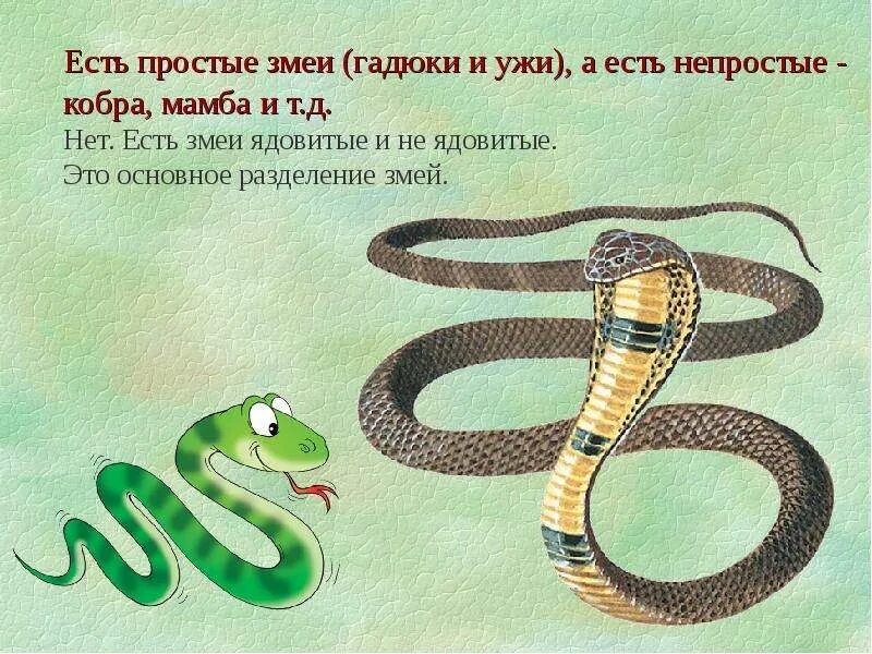 Слова полоза. Загадка змея для детей. Загадка про змею для детей. Загадки про змей для детей. Змеи картинки с названиями и описанием.