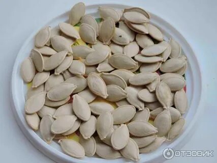 Можно ли есть семечки кабачков