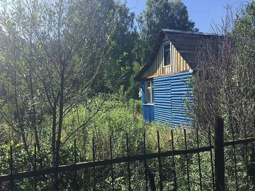 Фото снт озерки. Снт родник московская область. Снт озерки электрогорск. Дачи озерка. Г электрогорск московская обл снт озерки.