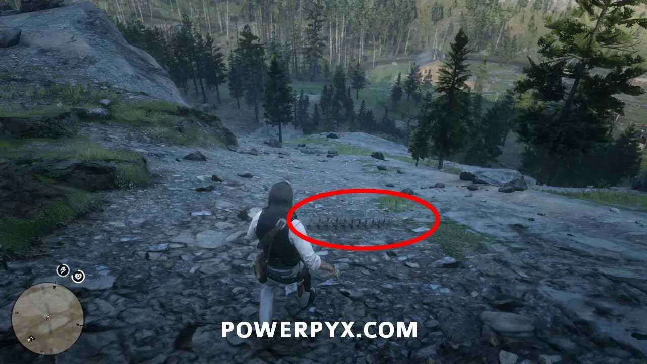 Red dead redemption 2 динозавр. Red dead redemption 2 кости динозавров. 30 костей динозавров rdr 2. rdr 2 кости динозавров на карте. карта костей динозавров rdr 2.