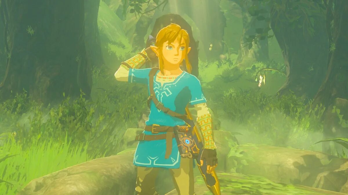 Zelda русский язык. Зельда 2. Линк Breath of the Wild. Линк Зельда Legend of Wild. Зельда BOTW 2.