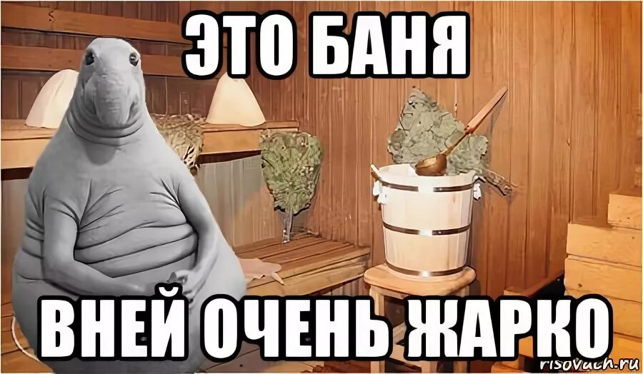 Грише душно и жарко но тут