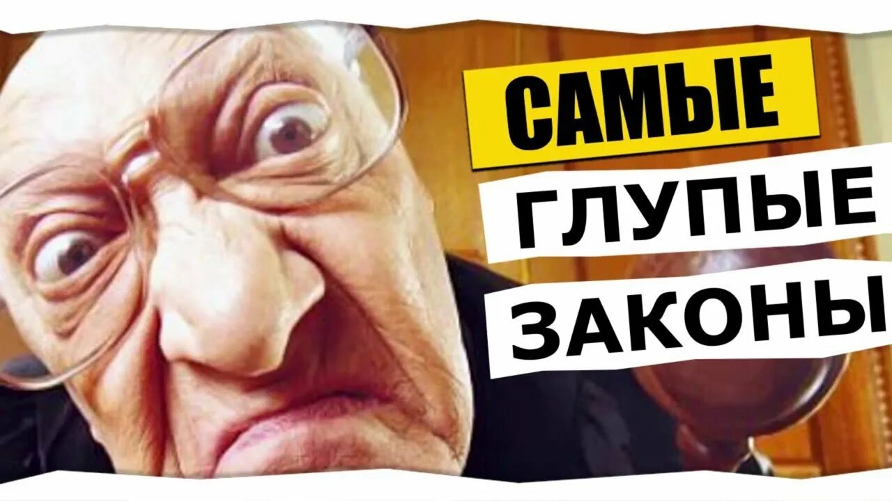 Смешные законы. Самые тупые законы. Самые глупые законы в мире. Закон смешные фото. Глупые факты