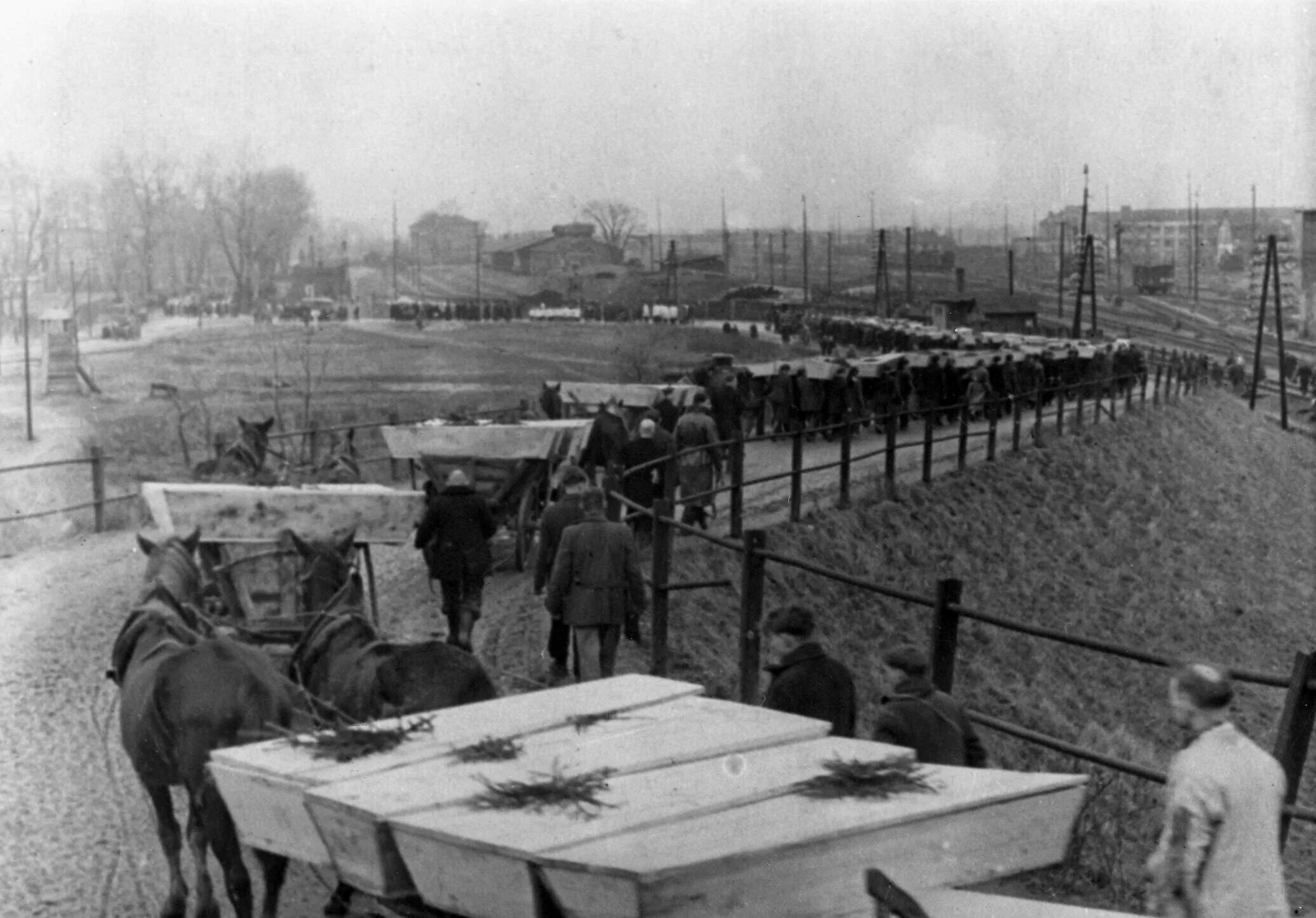 Лагерь Освенцим в годы Великой Отечественной войны 1941-1945. Лагерь военнопленных красной армии Великой Отечественной войны 1941-1945. Освобождение узников Освенцима 1945.