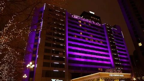 Плаза гарден москоу на краснопресненской