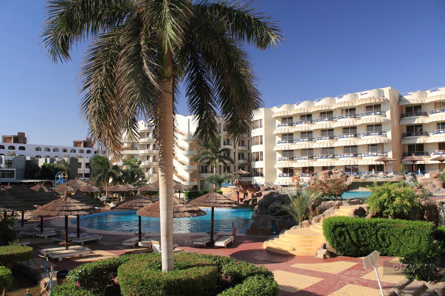 Hurghada seagull resort 4. Хургада отель Сигал 4. Отель Сигал Египет. Отель Seagull Beach Resort 4*. Сигал Бич Резорт Хургада.