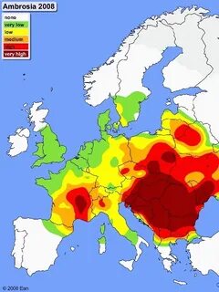 Где нет амброзии