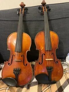 Фамилия скрипка