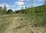 Снт озерное николо тители. Участки снт озерное. Снт озерный омск карта. Снт озерное иркутск. Снт озерное новое токсово.