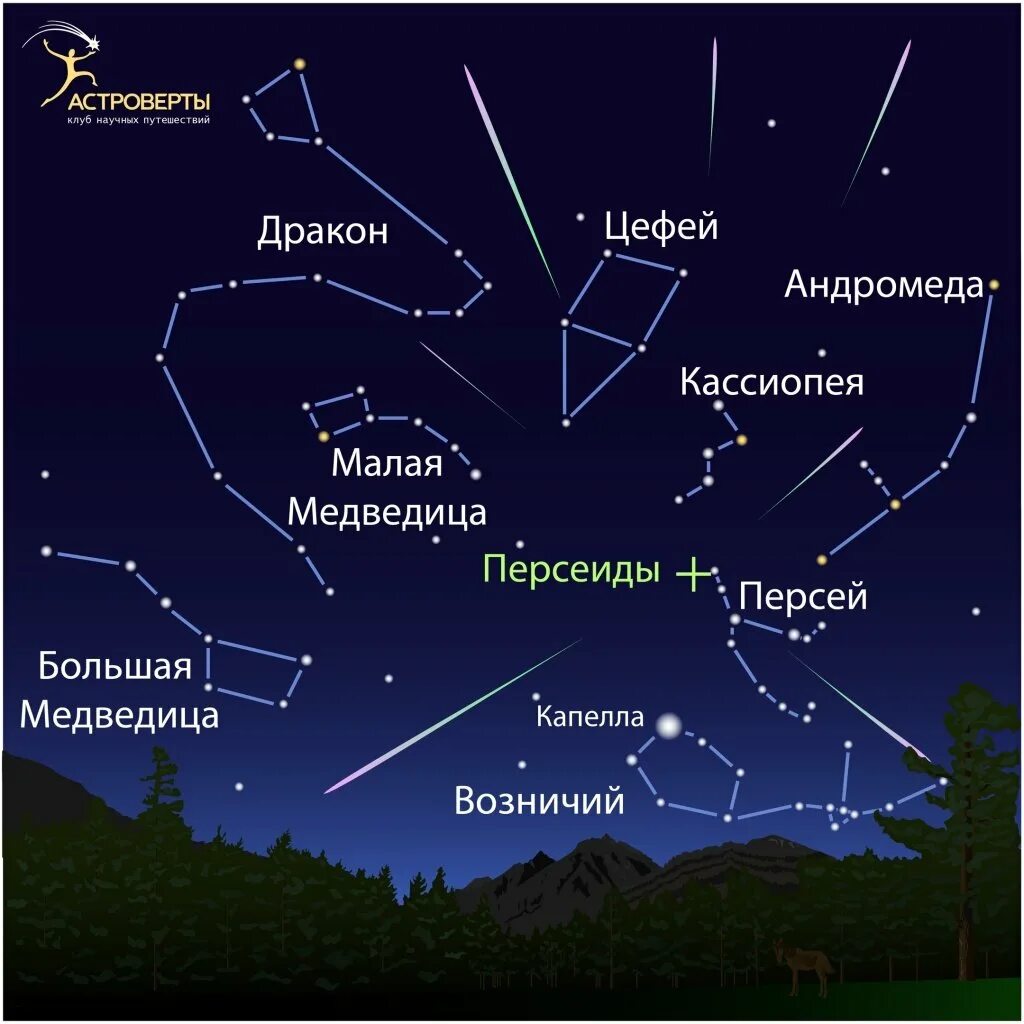 Созвездия над нами текст. Большая Медведица малая Медведица Кассиопея. Персеиды Созвездие Персей. Созвездие Персея и Андромеды. Созвездие Кассиопея и большая Медведица.