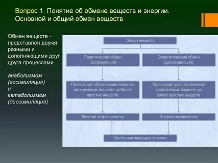 1 обмен веществ