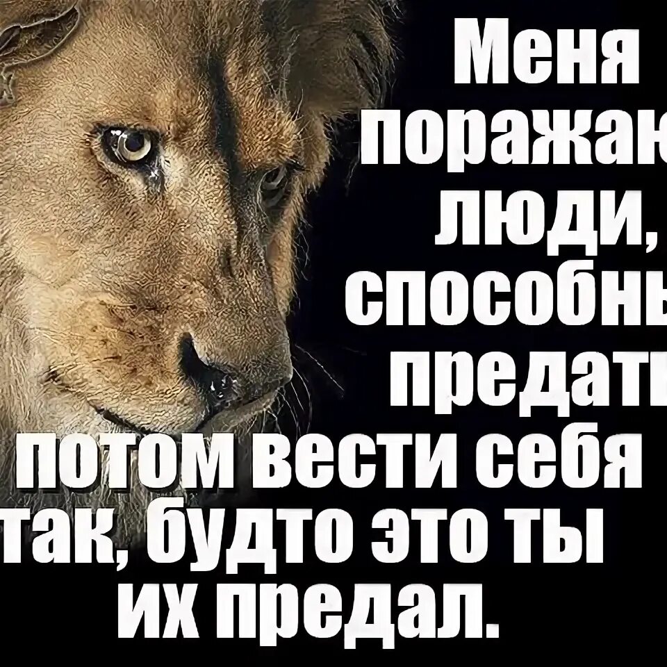 Человек предавший однажды предаст. Если предали один раз. предавший однажды предаст. предал один раз предаст и второй цитаты. когда тебя предали картинки.