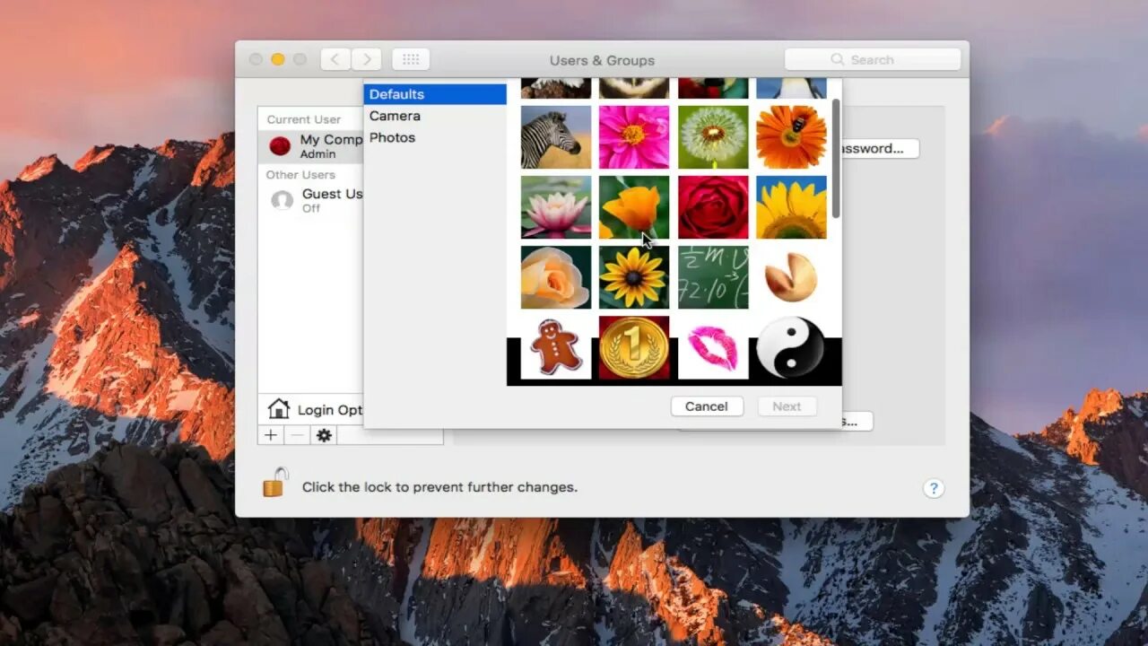 Mac profiling
