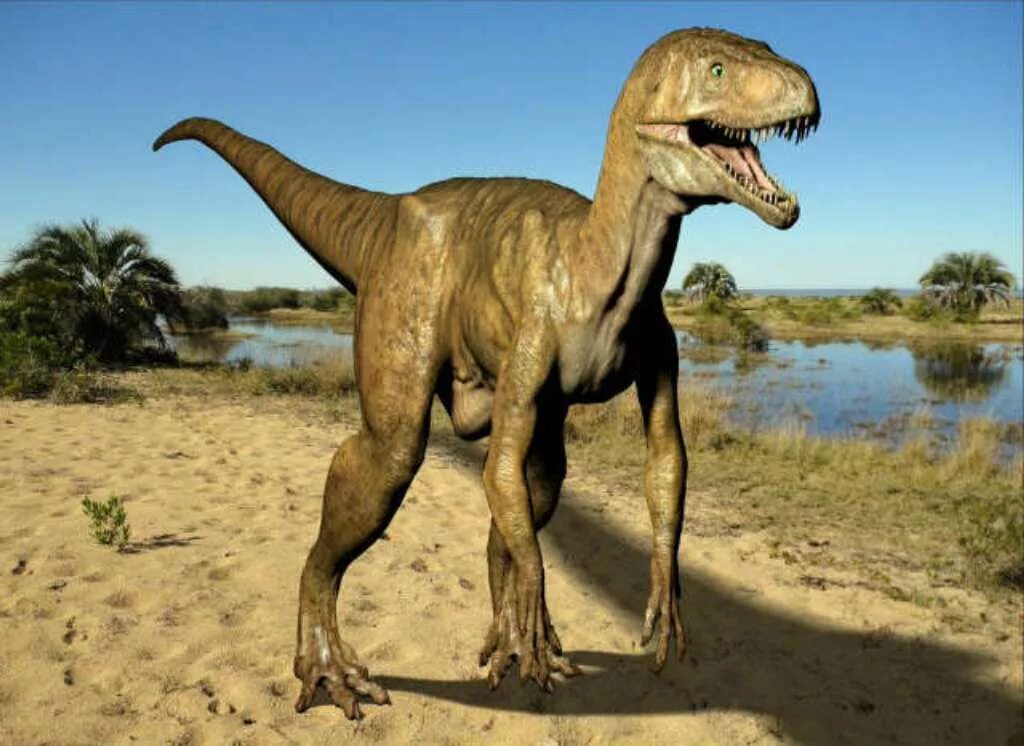 Как назывались маленькие динозавры. Ставрикозавр динозавр. Ставрикозавр Триасового периода. Ставрикозавр динозавр самый первый. Тероподы Триасового периода.