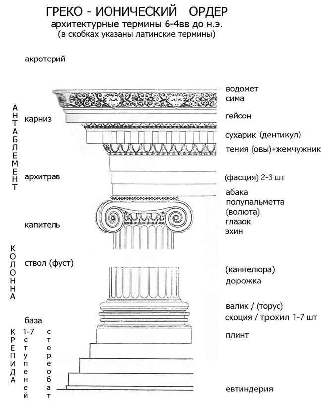 Валюта ордера. Ионический ордер храм Афины. Малоазийский ионический ордер. Ионический ордер древней Греции схема. Ионический ордер в архитектуре древней Греции.
